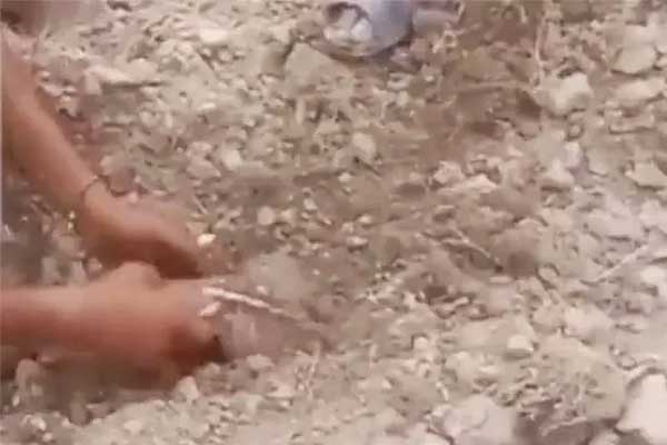 Nghe tiếng khóc khi qua nghĩa trang, cặp vợ chồng cứu bé sơ sinh bị chôn sống-1