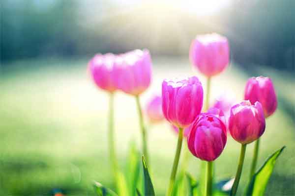 Trời thương người hiền: 3 con giáp làm đâu trúng đó, sống vui sống khỏe trong 4 tháng cuối năm 2023-4