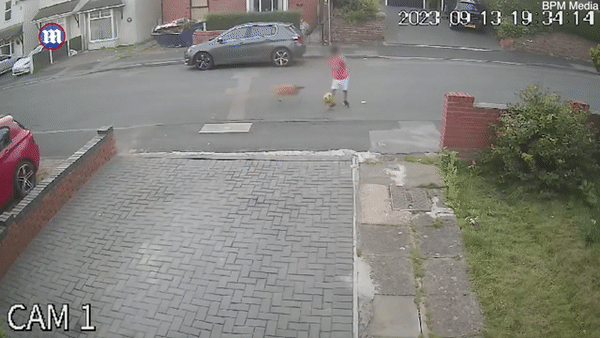 Khoảnh khắc ám ảnh: Bé trai 10 tuổi bị chó điên cuồng tấn công, bố đau đớn công khai video cảnh báo mọi người-1