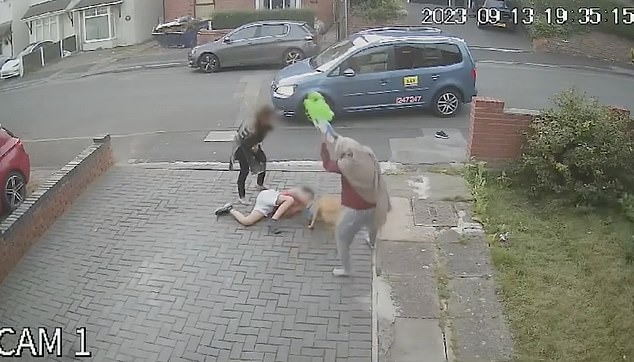 Khoảnh khắc ám ảnh: Bé trai 10 tuổi bị chó điên cuồng tấn công, bố đau đớn công khai video cảnh báo mọi người-3