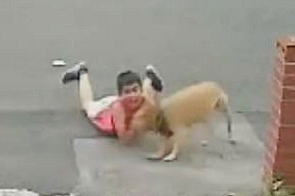 Bị đàn chó hoang bao vây, cách cô gái đối phó khiến dân mạng vừa bật cười vừa nể-2