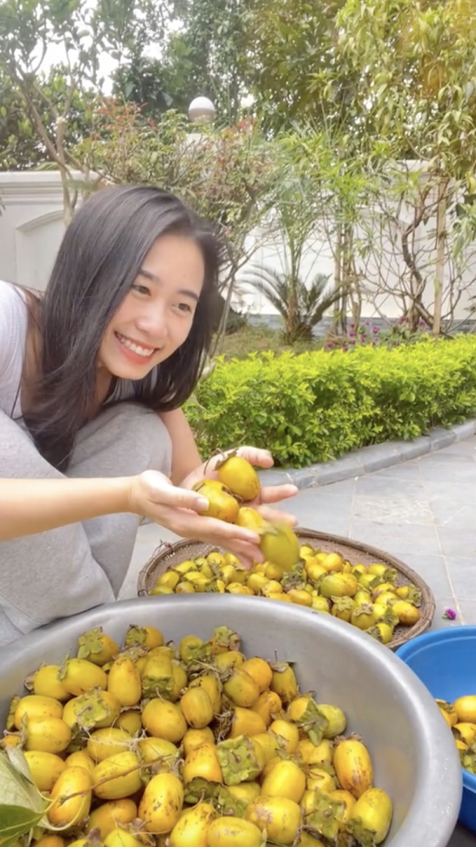 Hái hồng giòn trong vườn nhà mẹ chồng ở Ba Vì, hội mê hồng treo gió thấy mà xuýt xoa-3