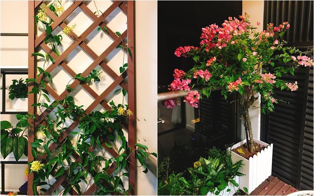 Sống hạnh phúc bên chồng Việt kiều và con riêng, Xuân Lan sở hữu chiếc tủ đặc biệt trong căn hộ hạng sang-7