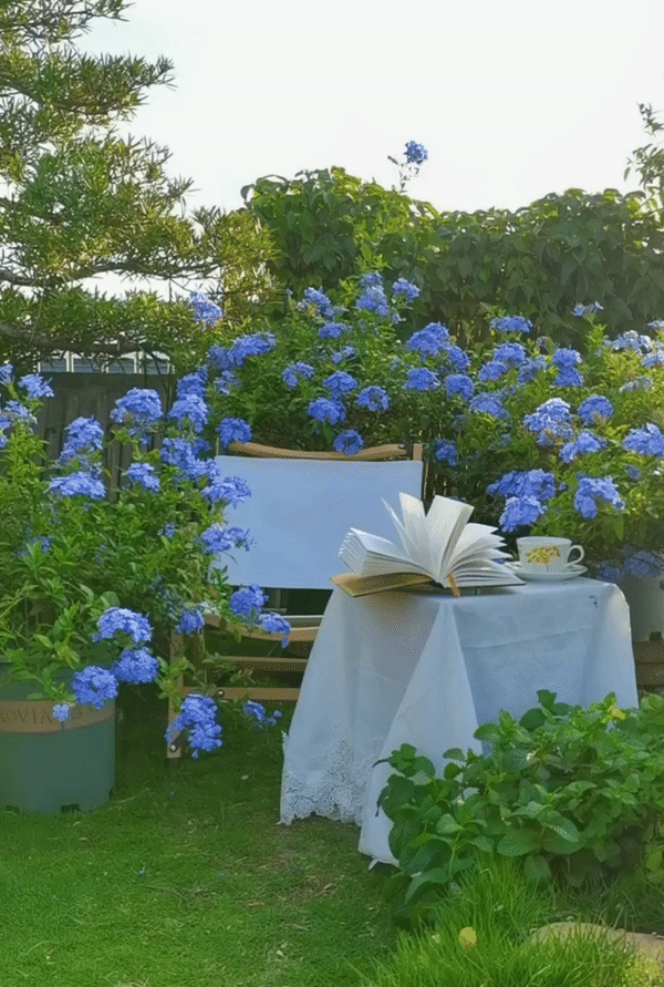 Cô gái mang cỏ lên trồng ở sân thượng, mùa hè không cần phải ra công viên vẫn có chỗ picnic siêu xinh-1