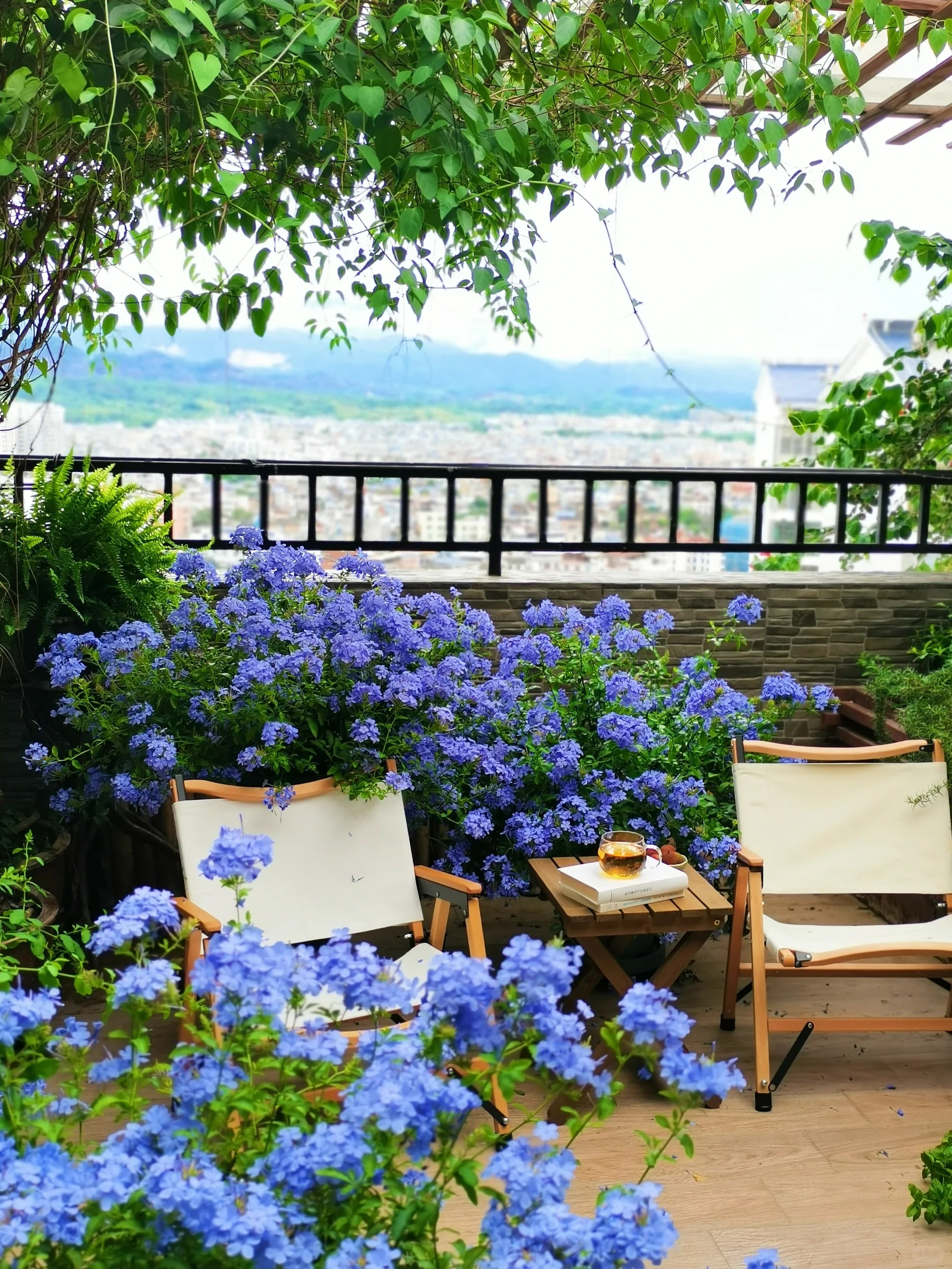 Cô gái mang cỏ lên trồng ở sân thượng, mùa hè không cần phải ra công viên vẫn có chỗ picnic siêu xinh-2