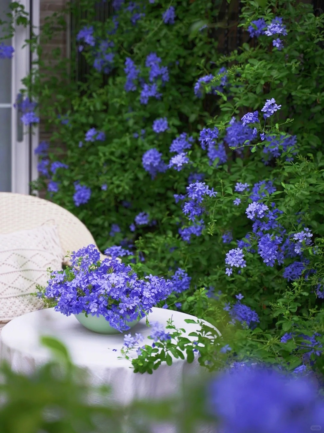 Cô gái mang cỏ lên trồng ở sân thượng, mùa hè không cần phải ra công viên vẫn có chỗ picnic siêu xinh-4