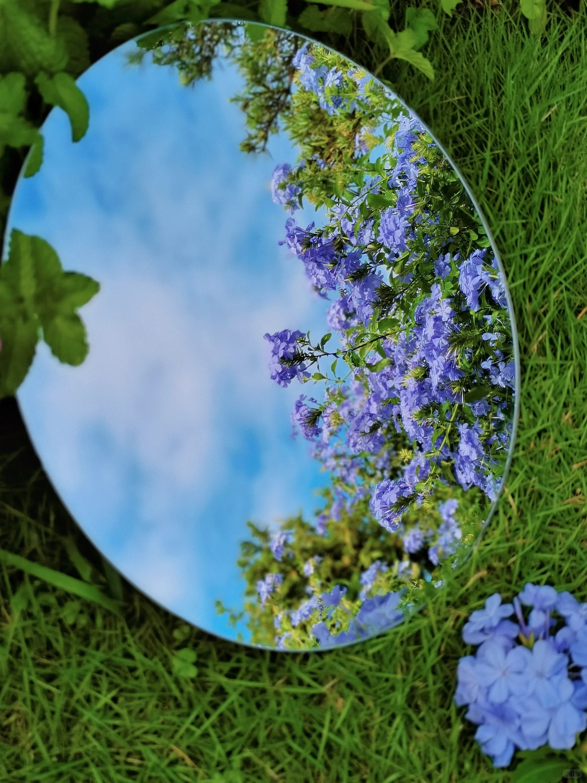 Cô gái mang cỏ lên trồng ở sân thượng, mùa hè không cần phải ra công viên vẫn có chỗ picnic siêu xinh-7