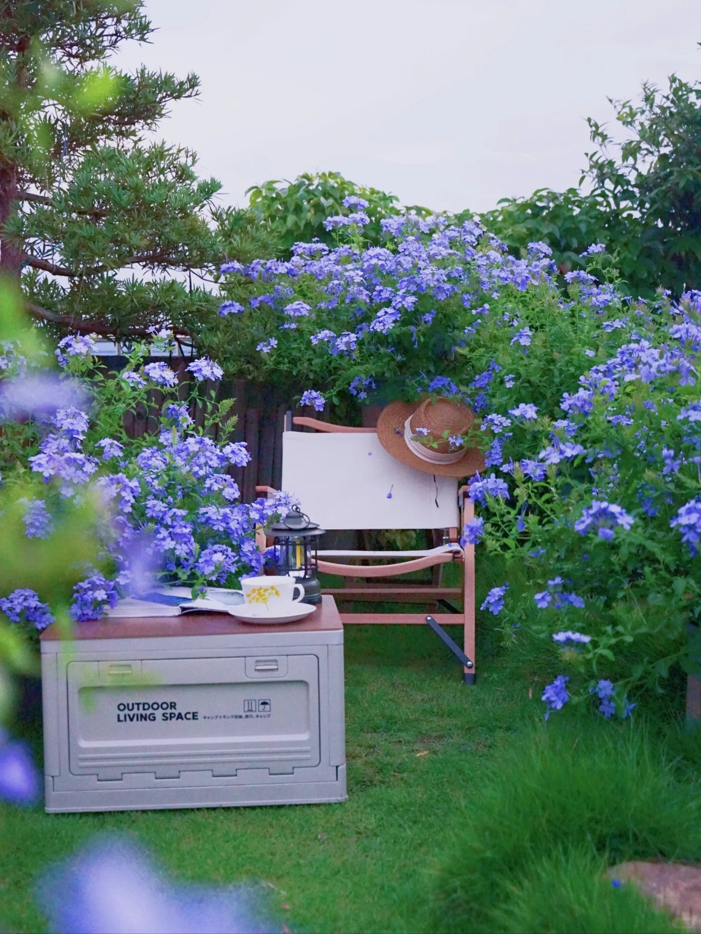 Cô gái mang cỏ lên trồng ở sân thượng, mùa hè không cần phải ra công viên vẫn có chỗ picnic siêu xinh-8