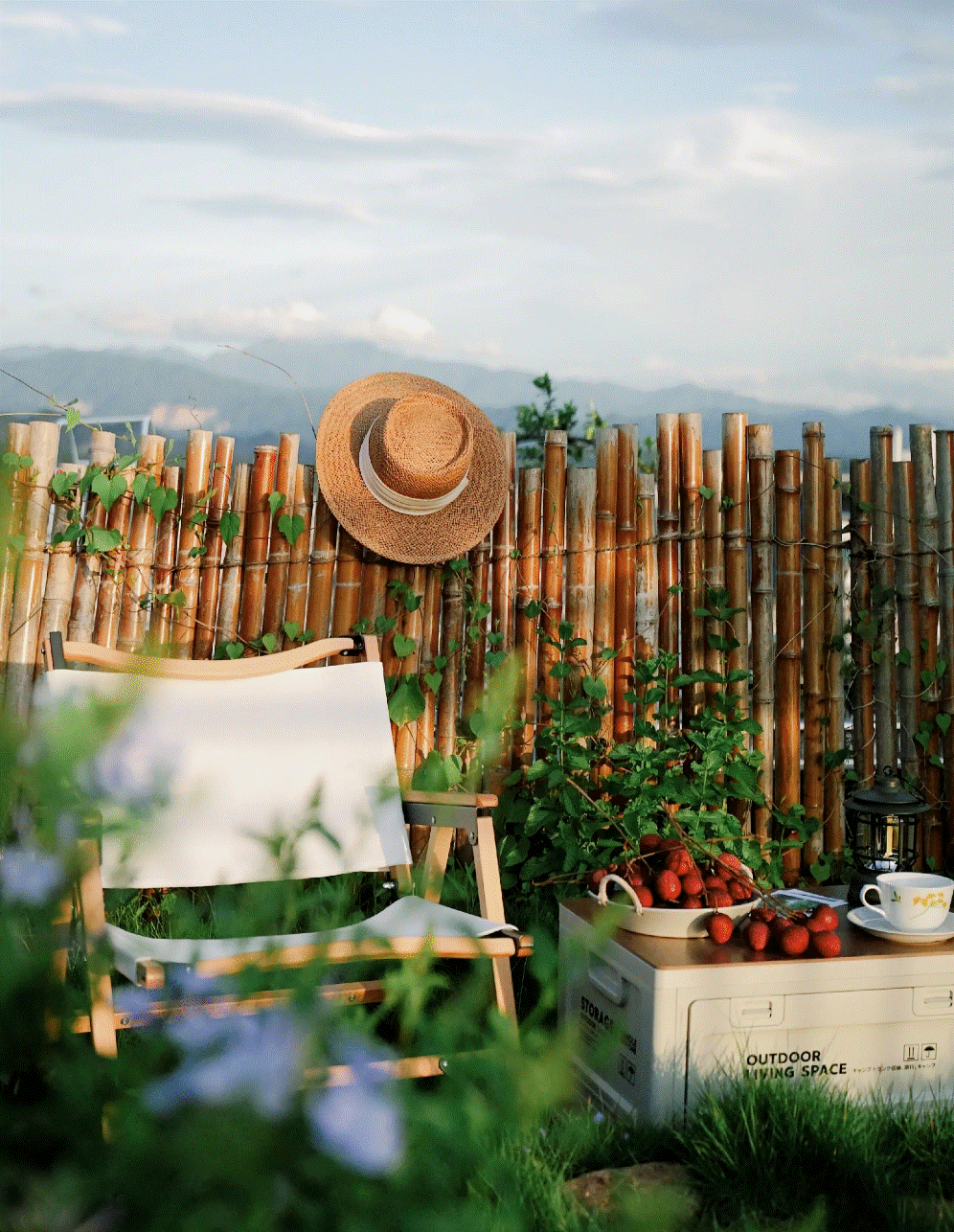 Cô gái mang cỏ lên trồng ở sân thượng, mùa hè không cần phải ra công viên vẫn có chỗ picnic siêu xinh-10
