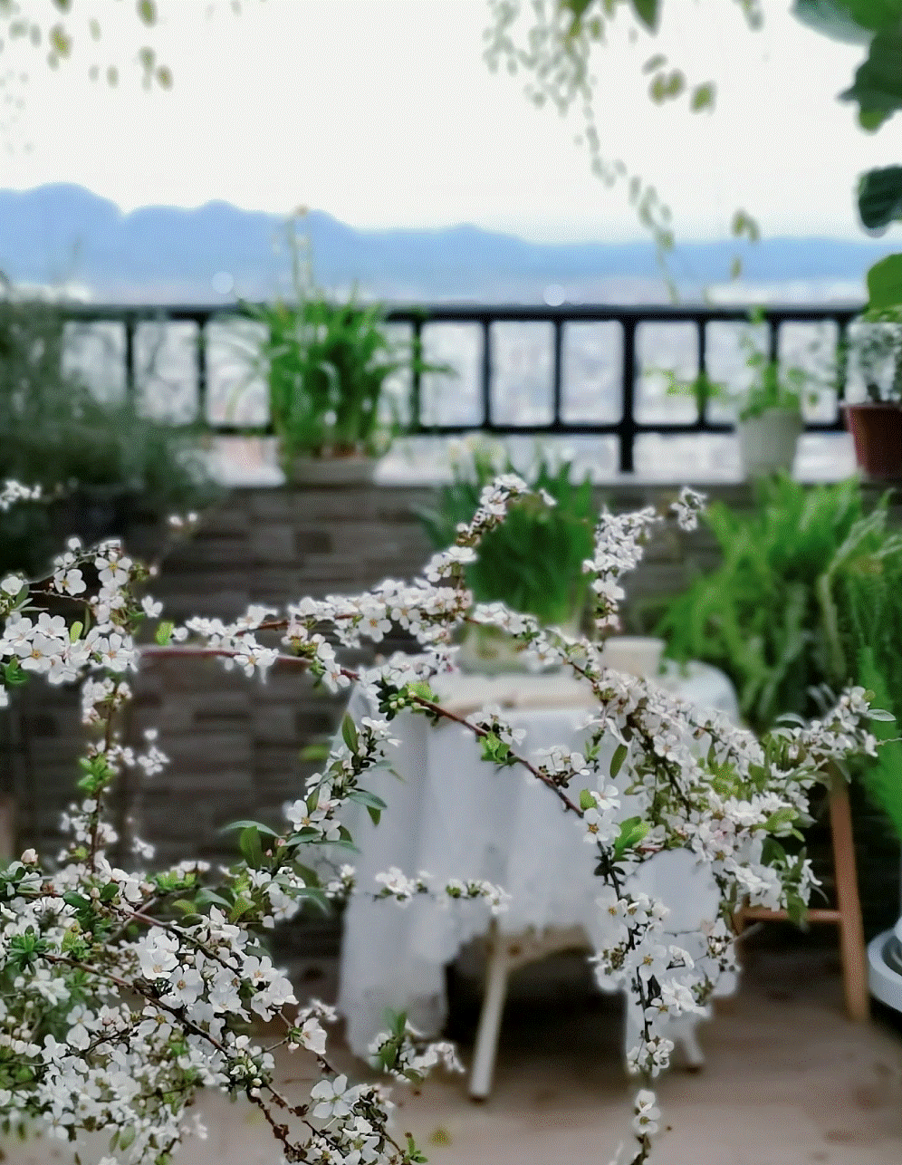 Cô gái mang cỏ lên trồng ở sân thượng, mùa hè không cần phải ra công viên vẫn có chỗ picnic siêu xinh-15