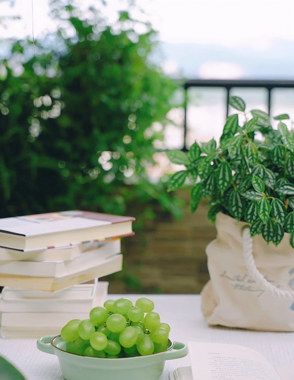 Cô gái mang cỏ lên trồng ở sân thượng, mùa hè không cần phải ra công viên vẫn có chỗ picnic siêu xinh-18