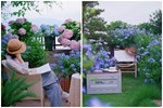 Đi thuê nhà, cô gái cải tạo sân thượng cũ thành vườn chill lãng mạn-11