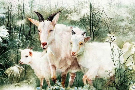 4 con giáp có tính cách bảo thủ, hạnh phúc luôn đến sau những vất vả