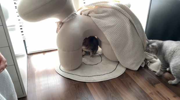 Bên trong phòng ngủ của Bình An - Phương Nga: Mất 3 tháng để cải tạo đúng ý, có hẳn một góc chứng minh gia chủ là fan BLACKPINK-19