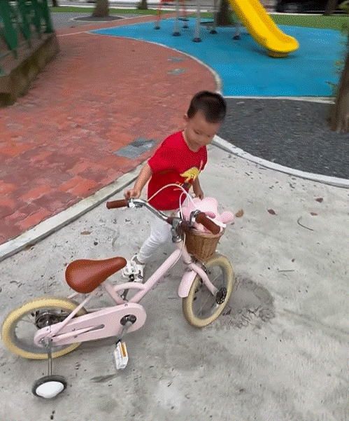 Lisa và Leon đạp xe rõ đáng yêu nhưng câu nói dạy con của Hồ Ngọc Hà mới là điểm nhấn-2