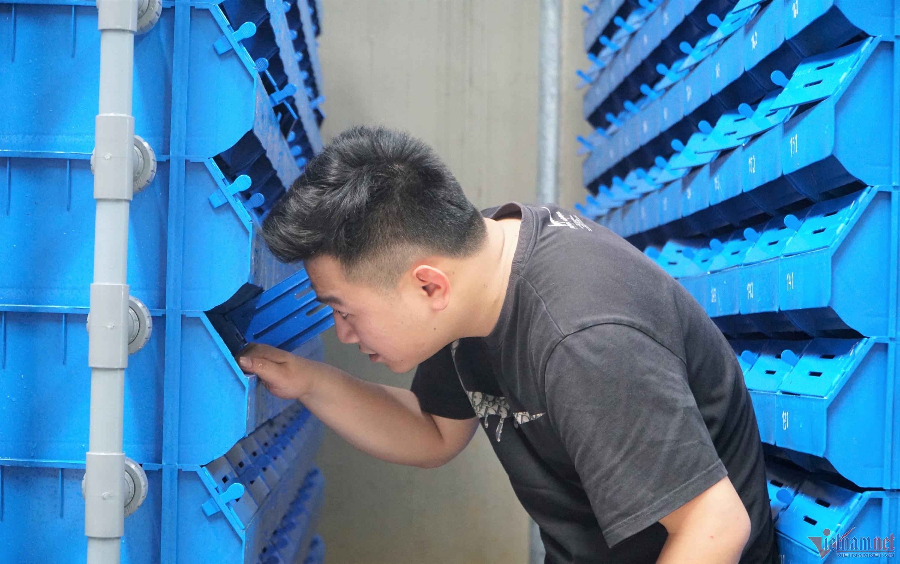 Chở nước biển lên núi nuôi cua, 9X dân tộc Thái kiếm hơn nửa tỷ mỗi năm-1