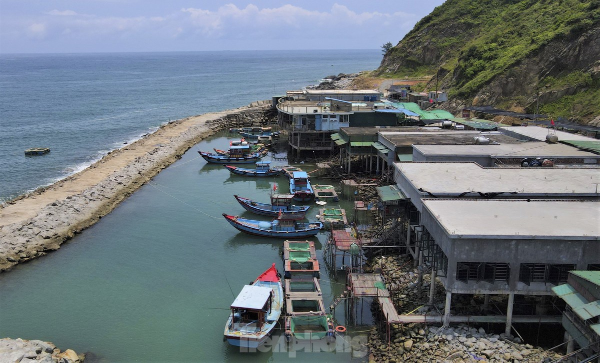 Mực nháy cháy hàng, có tiền cũng không mua được-1