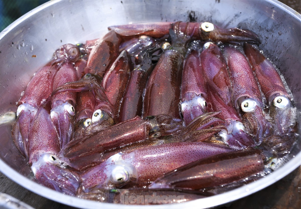 Mực nháy cháy hàng, có tiền cũng không mua được-6