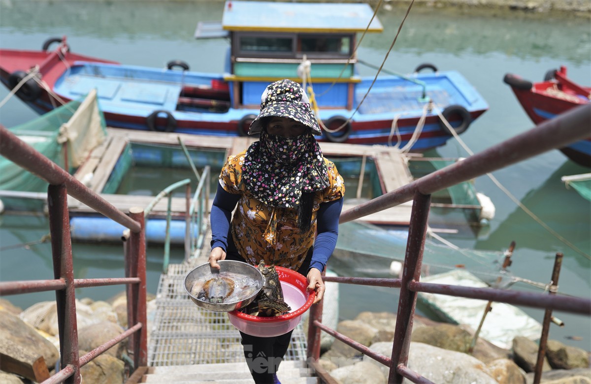 Mực nháy cháy hàng, có tiền cũng không mua được-8