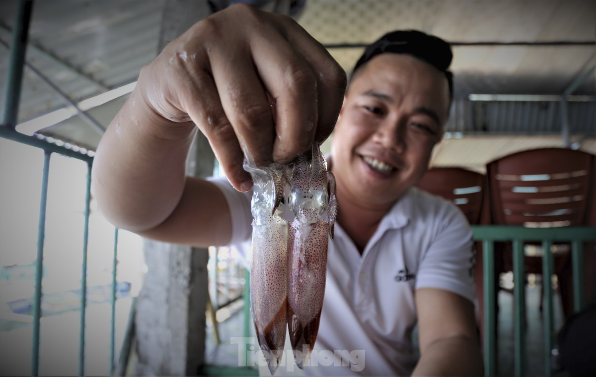 Mực nháy cháy hàng, có tiền cũng không mua được-9