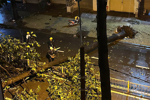 Bắt giam kẻ đánh đập dã man, bắt thiếu nữ ăn thằn lằn sống-2