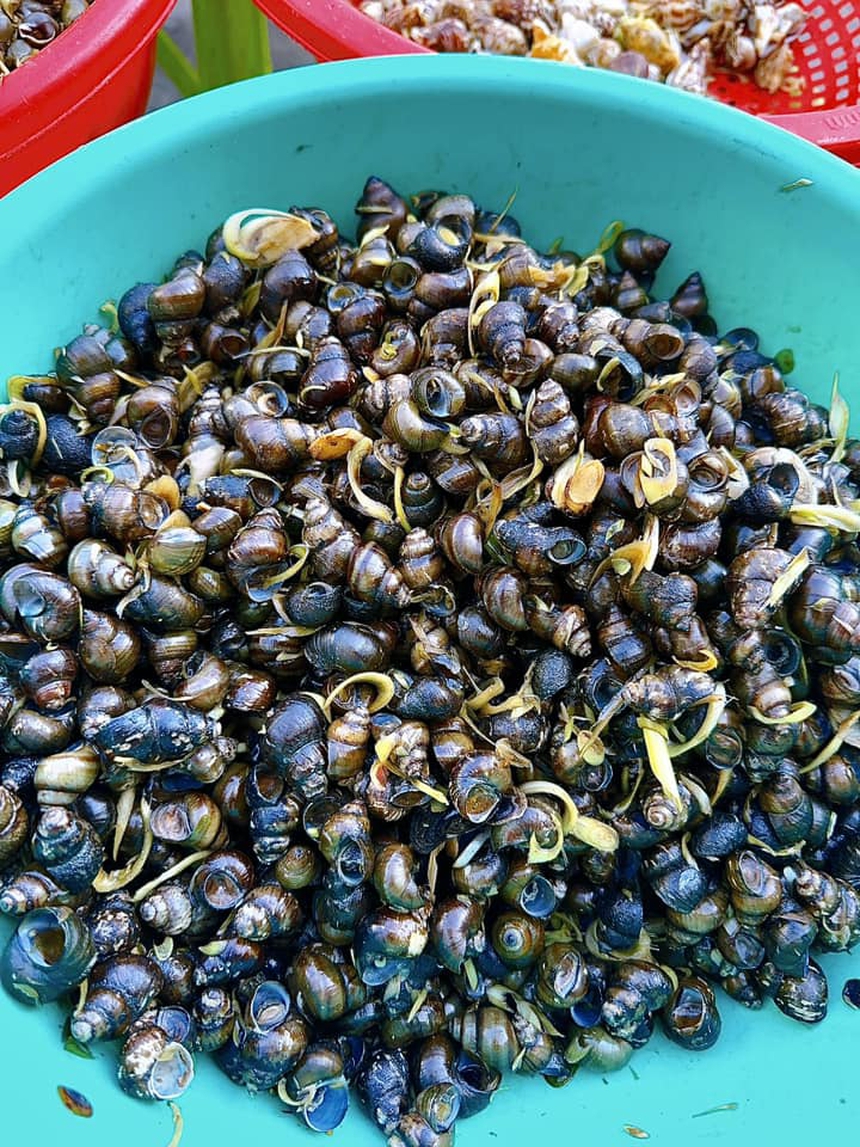 Căn nhà có kiến trúc đặc biệt của đại gia Đức An xây tặng vợ Phan Như Thảo-15