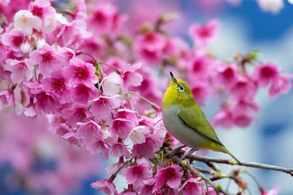 Nói ít làm nhiều: Ai sinh tháng Âm lịch này có thể xoay chuyển cuộc đời, thành đạt, như ý-1