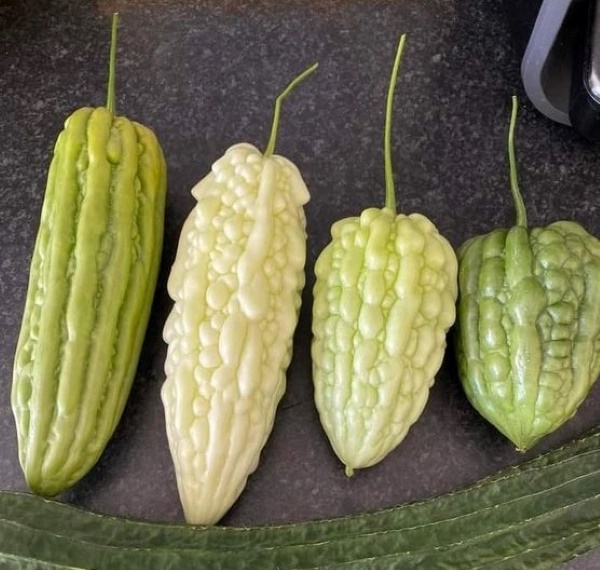 6 loại rau củ bệnh tiểu đường sợ” nhất, muốn phòng nên ăn thường xuyên-1