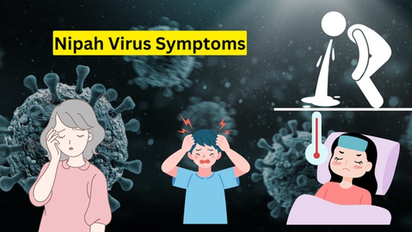 Virus Nipah bùng phát: Tỷ lệ tử vong cao gấp 20 lần Covid-19, WHO cảnh báo có thể gây ra đại dịch tiếp theo-3