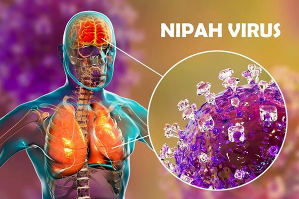 Virus Nipah bùng phát: Tỷ lệ tử vong cao gấp 20 lần Covid-19, WHO cảnh báo có thể gây ra đại dịch tiếp theo-4