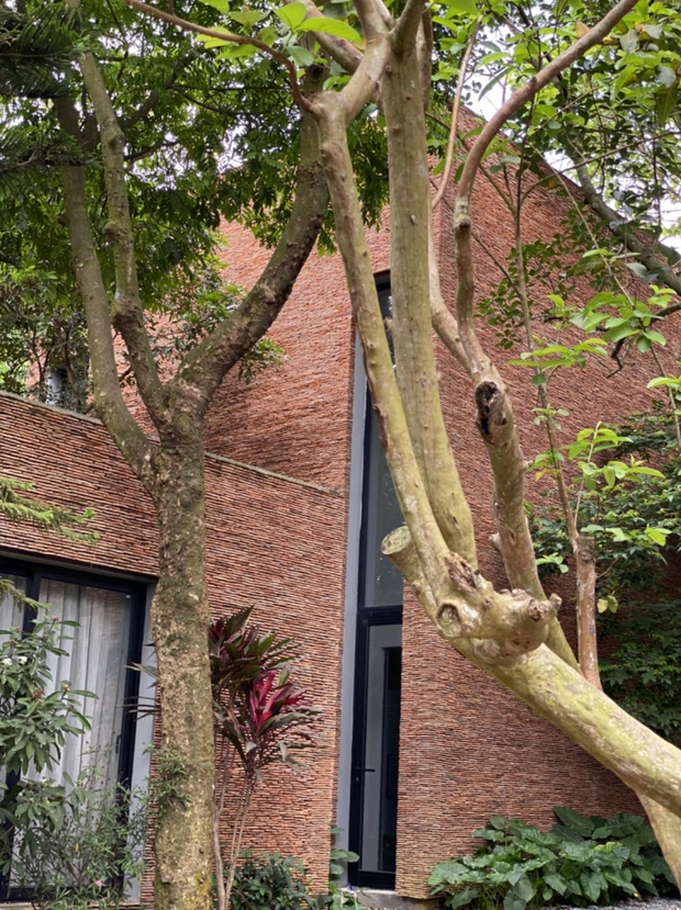 Cận cảnh biệt phủ của vua hài đất Bắc Xuân Hinh: Xây toàn bộ bằng gạch đỏ, có sân vườn ao cá rộng thênh thang-2