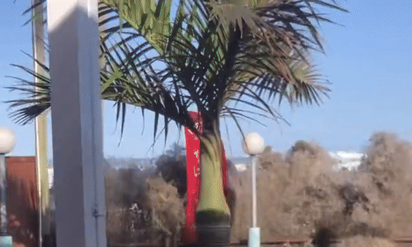 Khoảnh khắc sóng thần ập vào quán ăn ven biển cuốn phăng thực khách ra biển, diễn biến sau đó khiến mọi người nín thở-1