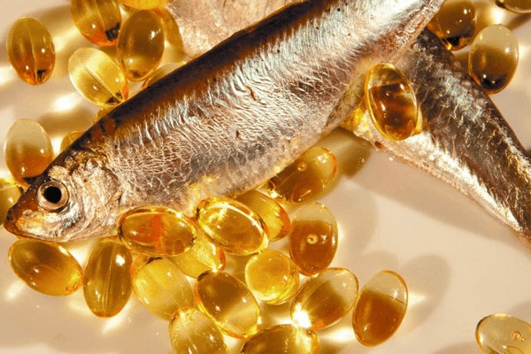 Bộ phận cực tốt ở cá, được ví như nhân sâm biển, thế nhưng người Việt toàn bỏ đi-2