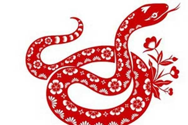 Tử vi ngày 22/9/2023: Tuổi Tuất tiểu nhân ngáng trở, tuổi Hợi cát khí tràn đầy-4