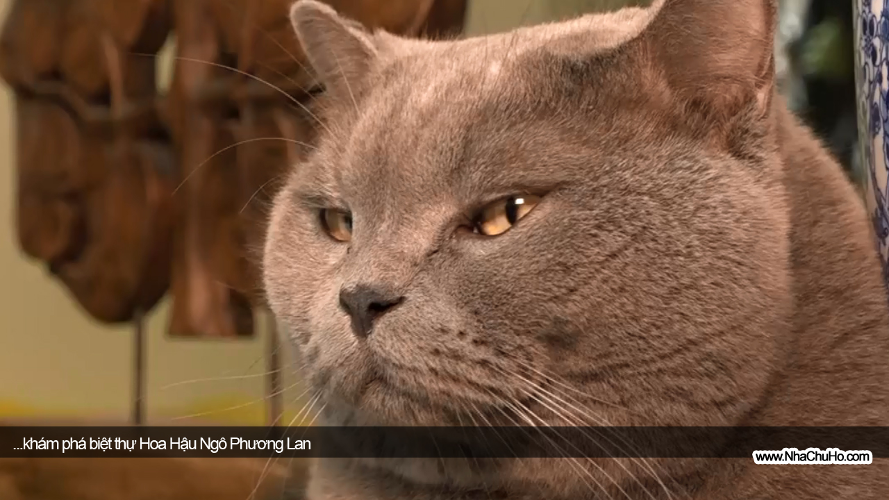 Tò mò biệt thự từng ở của Hoa hậu Thế giới người Việt đầu tiên sinh ra trong gia đình gia thế nhưng thường trực một nỗi sợ-5