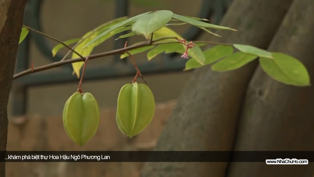Tò mò biệt thự từng ở của Hoa hậu Thế giới người Việt đầu tiên sinh ra trong gia đình gia thế nhưng thường trực một nỗi sợ-13