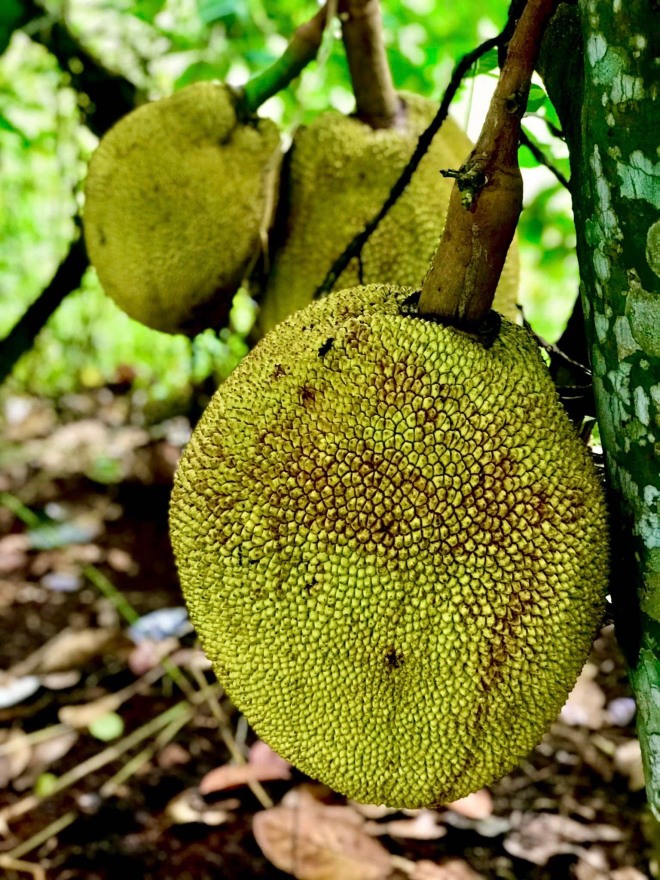 U50 làm mẹ đơn thân 3 con sau 3 mối tình, nữ hoàng cảnh nóng Kiều Trinh khoe khu vườn thẳng cánh cò bay-4