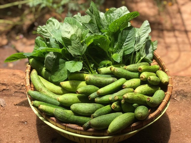 U50 làm mẹ đơn thân 3 con sau 3 mối tình, nữ hoàng cảnh nóng Kiều Trinh khoe khu vườn thẳng cánh cò bay-9