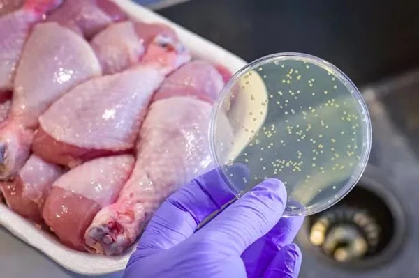 Vi khuẩn Salmonella trong mẫu bánh mì Phượng khiến hơn 140 người bị ngộ độc sinh sôi và lây nhiễm qua con đường nào?-3