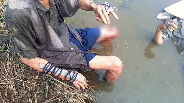 Tranh chấp đất ở Long An, 4 cha con bị chém dã man-1