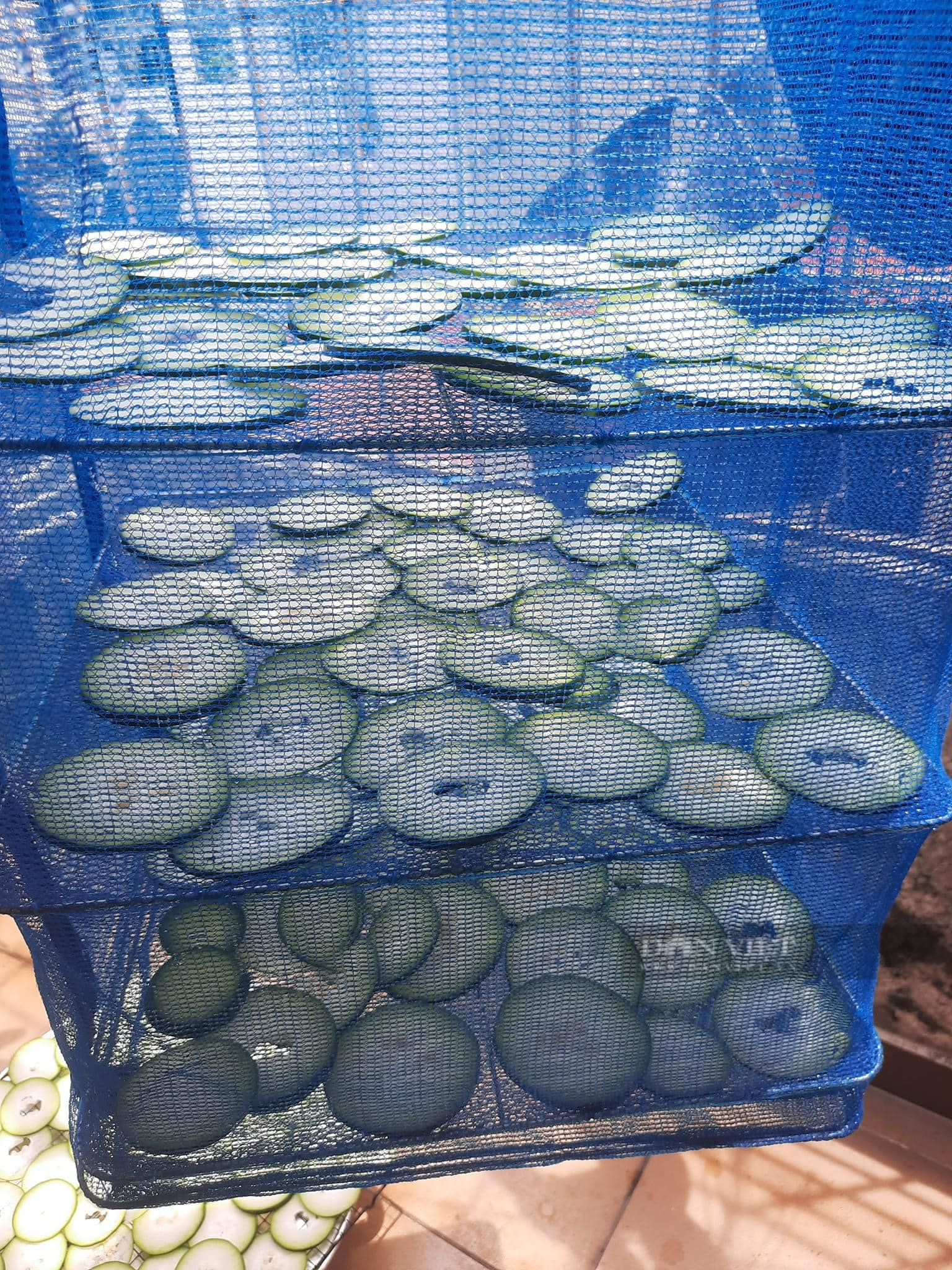 Loại quả bảo bối giảm cân” nấu cùng vô số rau củ khác thành nước sâm giải độc, thanh nhiệt, bổ dưỡng-3