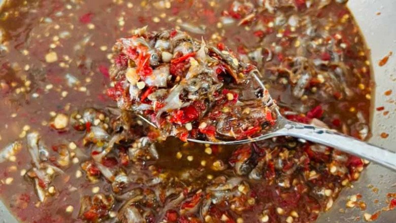 Con bé tí được ví là lộc trời”, đến mùa dân mang rổ ra vớt, bán 600.000đ/rổ, đổ tất vào lọ thành món đặc sản-7