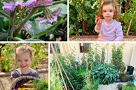 Vườn rau quả tươi tốt bố trồng để trang bị kỹ năng sống cho con gái nhỏ