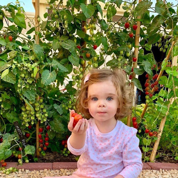 Vườn rau quả tươi tốt bố trồng để trang bị kỹ năng sống cho con gái nhỏ-4