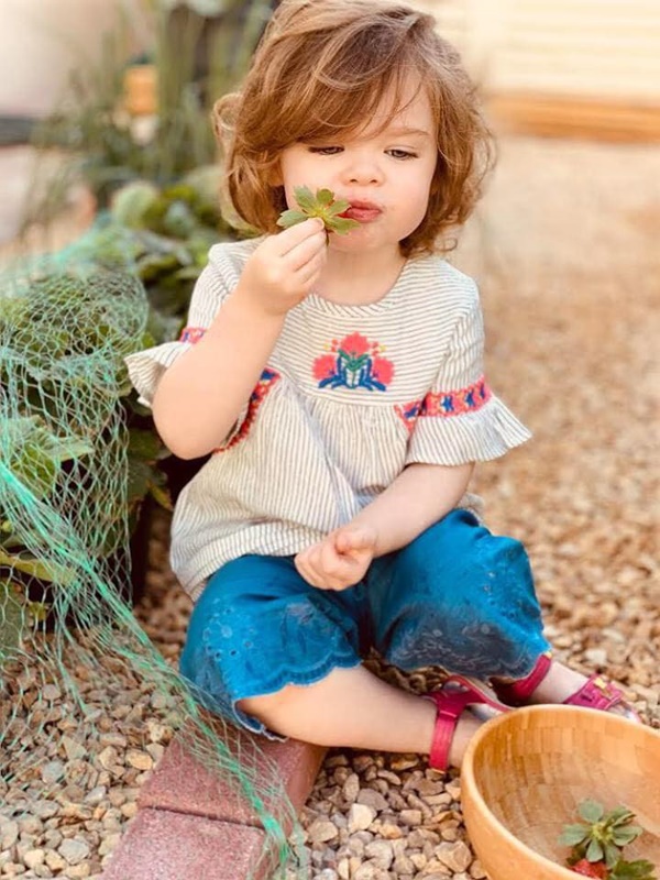 Vườn rau quả tươi tốt bố trồng để trang bị kỹ năng sống cho con gái nhỏ-10