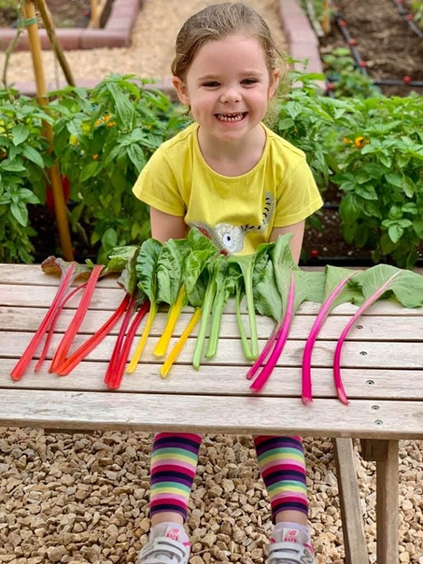 Vườn rau quả tươi tốt bố trồng để trang bị kỹ năng sống cho con gái nhỏ-11