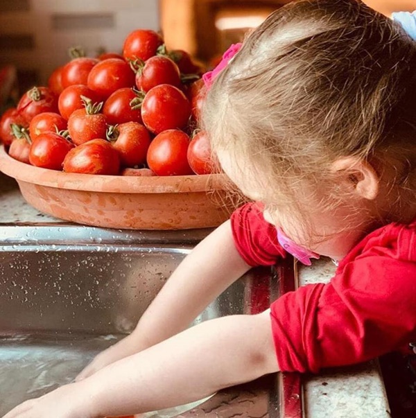 Vườn rau quả tươi tốt bố trồng để trang bị kỹ năng sống cho con gái nhỏ-12