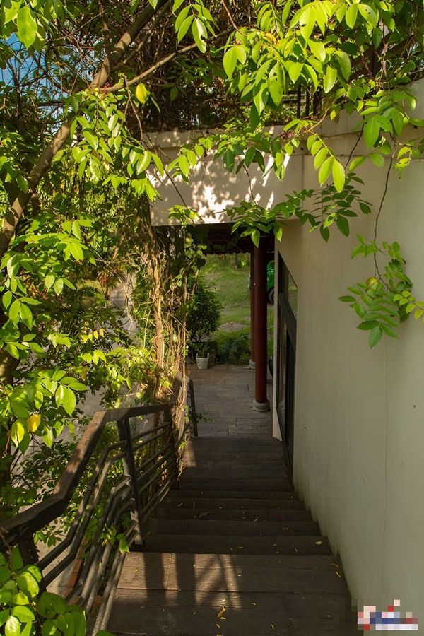 Ca sĩ Ánh Tuyết sở hữu gia tài khủng thế nào mà bạn bè gọi là tỷ phú?-3