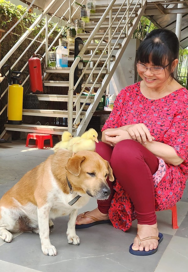 Ca sĩ Ánh Tuyết sở hữu gia tài khủng thế nào mà bạn bè gọi là tỷ phú?-5