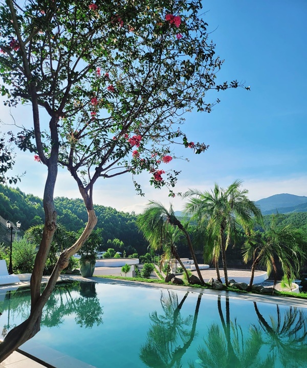 Khu vườn đầy hoa trái trong biệt thự 600m2 như resort của Mạnh Trường-3